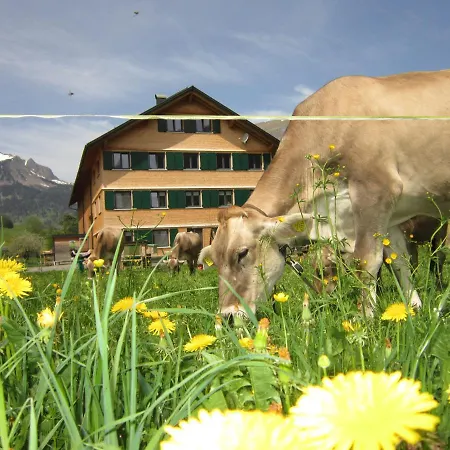 Jokelehof Villa Au (Vorarlberg) Exterior photo