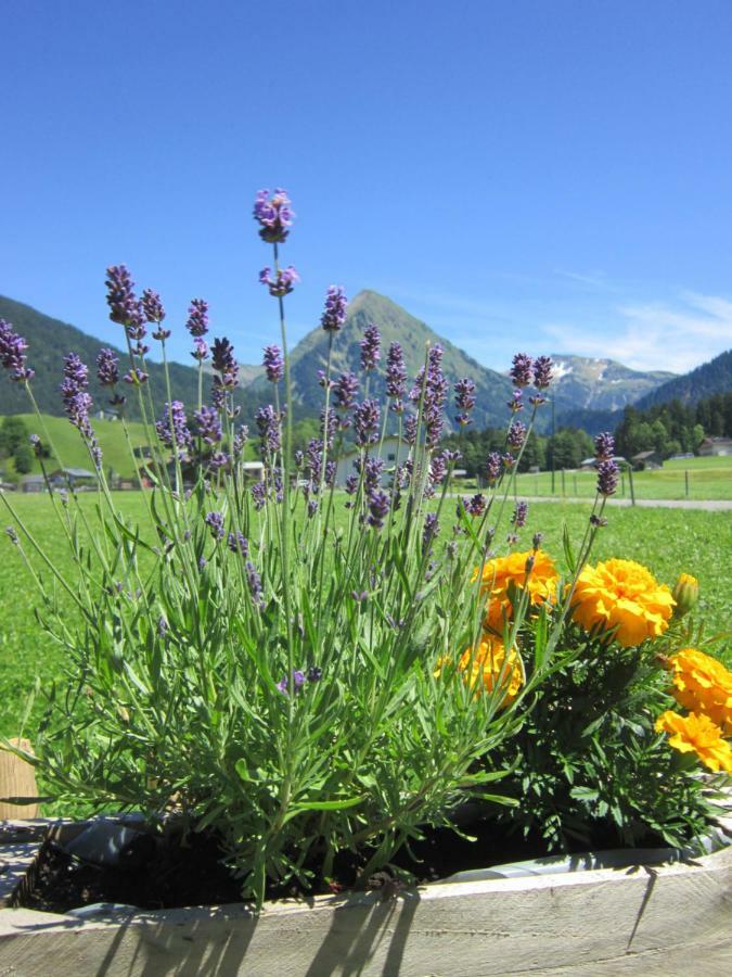 Farm stay Jokelehof Au (Vorarlberg)