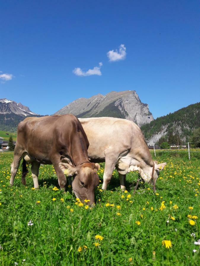 Farm stay Jokelehof Au (Vorarlberg)